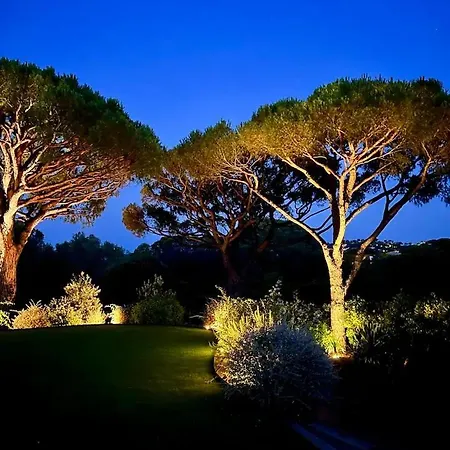 Sumptuous In